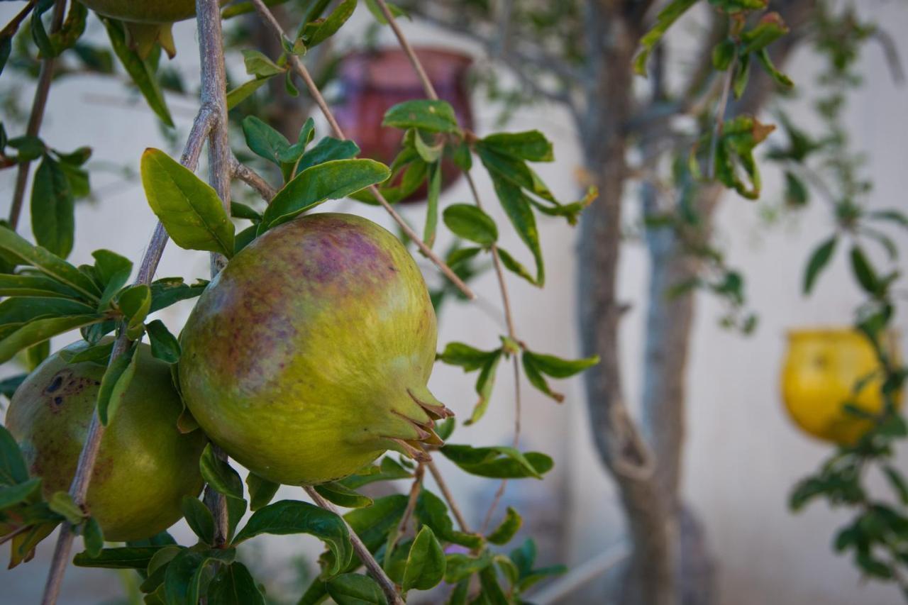 Lagopodhon Amorosa Villas מראה חיצוני תמונה